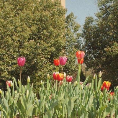 管家婆一码一肖资料大全下载手机版