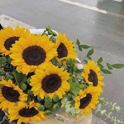 乐鱼平台app下载官网