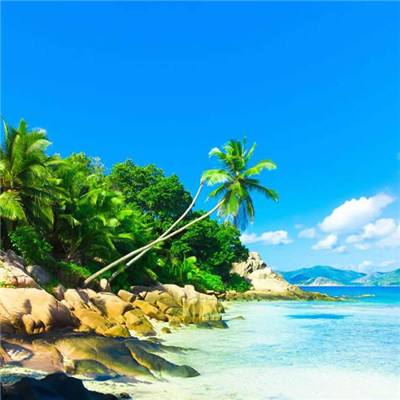 NG28加拿大软件下载截图